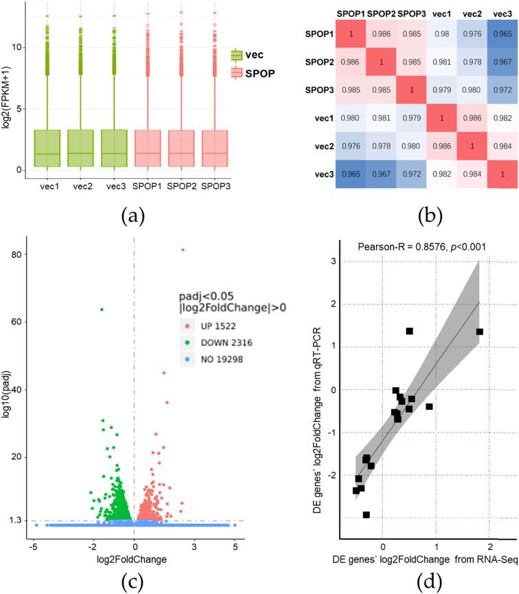 https://cdn.ncbi.nlm.nih.gov/pmc/blobs/ac80/10628592/143f34fda9c6/j_biol-2022-0755-fig002.jpg