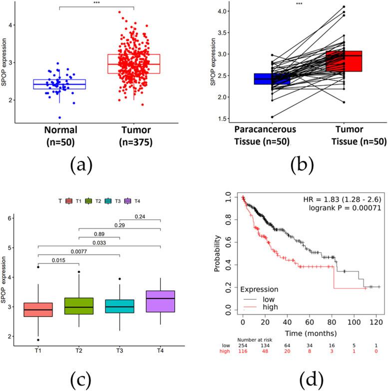 https://cdn.ncbi.nlm.nih.gov/pmc/blobs/ac80/10628592/a0c44817268f/j_biol-2022-0755-fig005.jpg