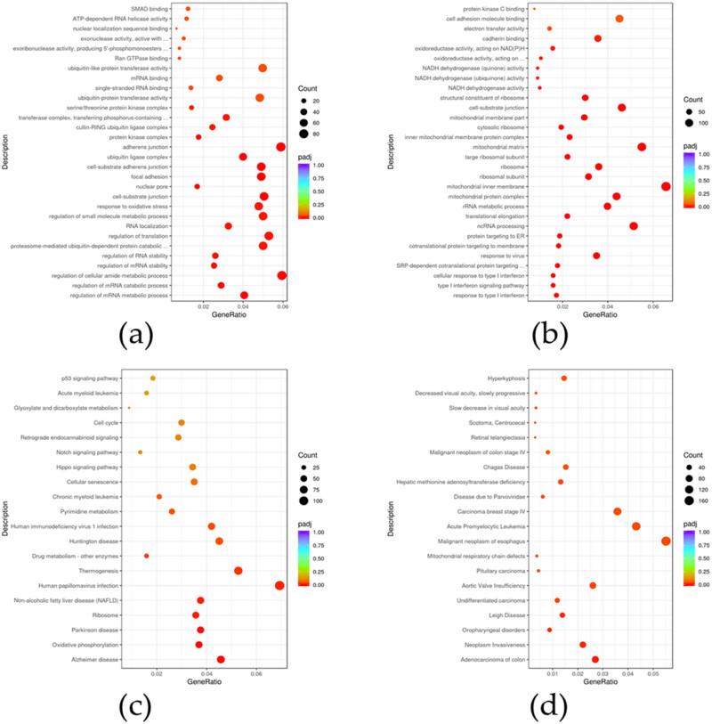 https://cdn.ncbi.nlm.nih.gov/pmc/blobs/ac80/10628592/ca010f1d31ce/j_biol-2022-0755-fig003.jpg