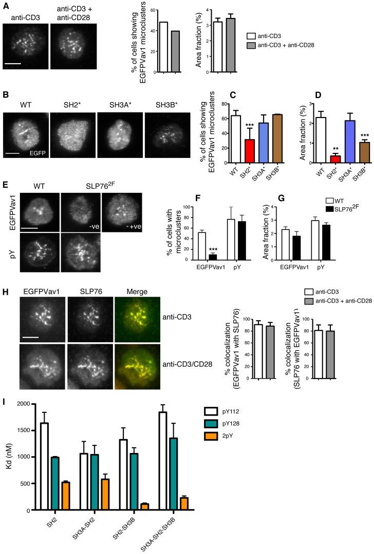 https://cdn.ncbi.nlm.nih.gov/pmc/blobs/ac80/3561853/19aa6f70cc6d/jcs-125-22-5302-f04.jpg