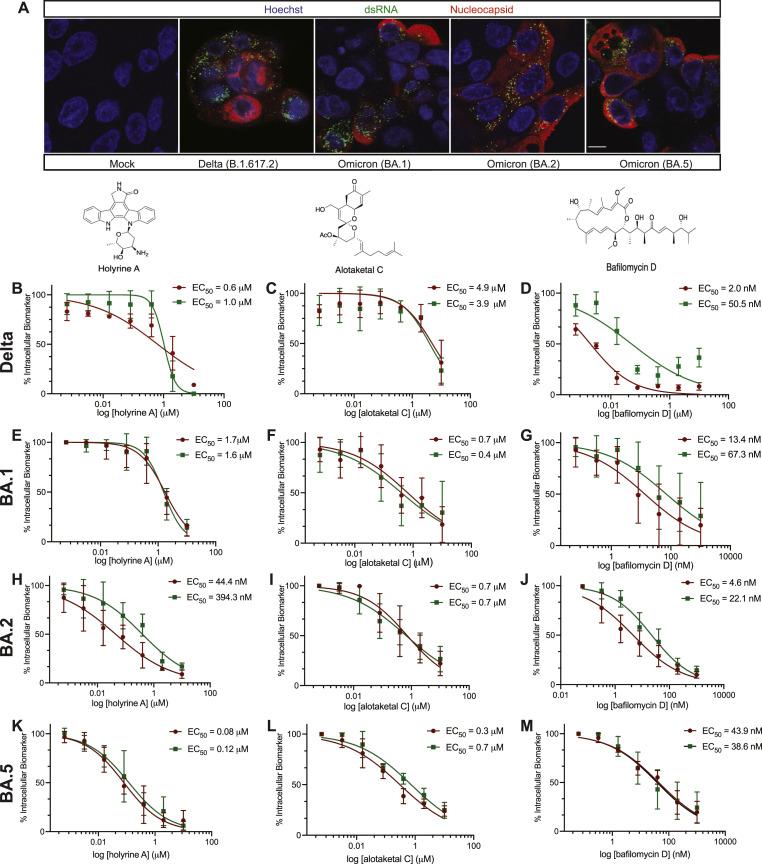 https://cdn.ncbi.nlm.nih.gov/pmc/blobs/ac80/9729583/8ec42c7eff55/gr3_lrg.jpg