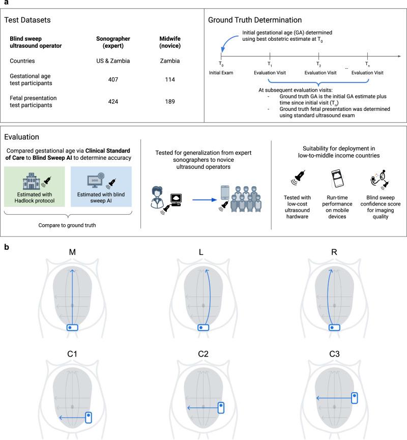 https://cdn.ncbi.nlm.nih.gov/pmc/blobs/ac81/9553916/a4ed5a5eaf74/43856_2022_194_Fig1_HTML.jpg