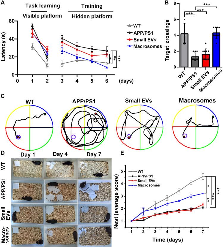 https://cdn.ncbi.nlm.nih.gov/pmc/blobs/ac82/10219594/628ede05442e/sciadv.ade0293-f4.jpg