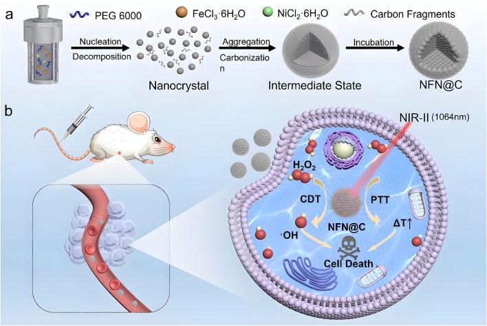 https://cdn.ncbi.nlm.nih.gov/pmc/blobs/ac83/12360441/1446f8523b45/fddev-05-1627556-g003.jpg