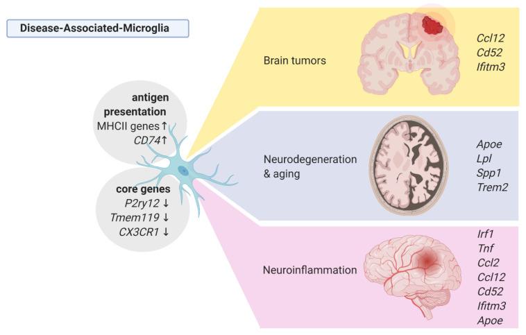 https://cdn.ncbi.nlm.nih.gov/pmc/blobs/ac83/8002227/21a1d9e2c166/ijms-22-03027-g002.jpg