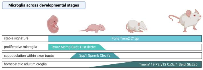 https://cdn.ncbi.nlm.nih.gov/pmc/blobs/ac83/8002227/51981562ca7c/ijms-22-03027-g001.jpg