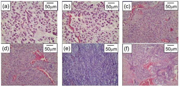https://cdn.ncbi.nlm.nih.gov/pmc/blobs/ac84/8878601/59ad0a072264/materials-15-01606-g013.jpg