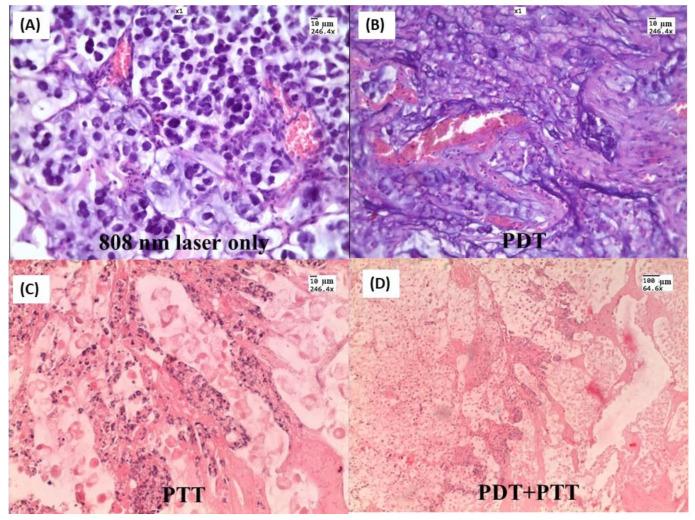https://cdn.ncbi.nlm.nih.gov/pmc/blobs/ac84/8878601/d3fc0b88e6d3/materials-15-01606-g015.jpg
