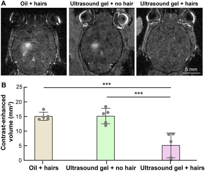 https://cdn.ncbi.nlm.nih.gov/pmc/blobs/ac85/10439893/5a4919a80042/41598_2023_40598_Fig4_HTML.jpg
