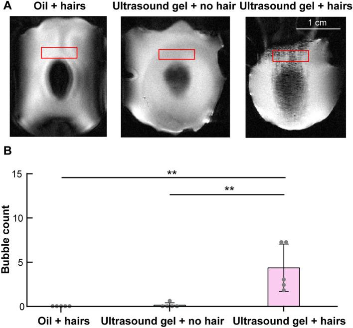 https://cdn.ncbi.nlm.nih.gov/pmc/blobs/ac85/10439893/8bfd1a23e044/41598_2023_40598_Fig2_HTML.jpg