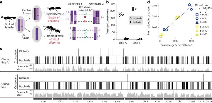 https://cdn.ncbi.nlm.nih.gov/pmc/blobs/ac85/11310076/02114797ed5a/41559_2024_2455_Fig2_HTML.jpg