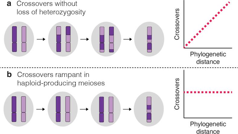 https://cdn.ncbi.nlm.nih.gov/pmc/blobs/ac85/11310076/11833b7cb640/41559_2024_2455_Fig9_ESM.jpg