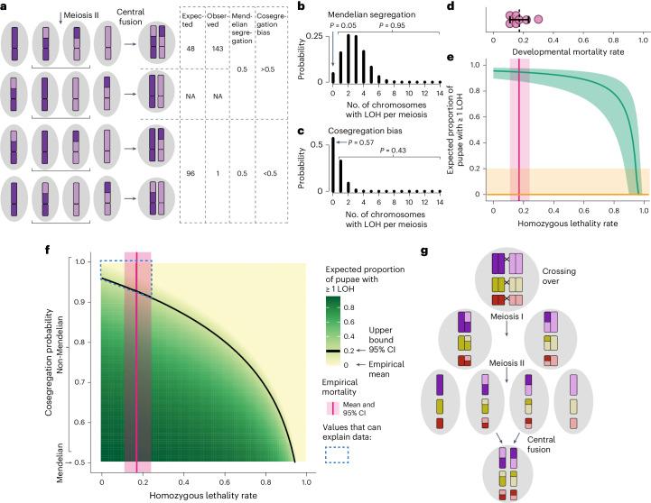 https://cdn.ncbi.nlm.nih.gov/pmc/blobs/ac85/11310076/98160a94be58/41559_2024_2455_Fig4_HTML.jpg