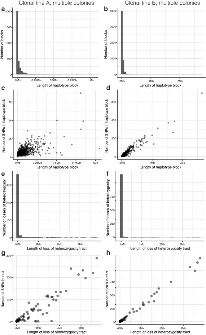 https://cdn.ncbi.nlm.nih.gov/pmc/blobs/ac85/11310076/f778d8d1323a/41559_2024_2455_Fig10_ESM.jpg