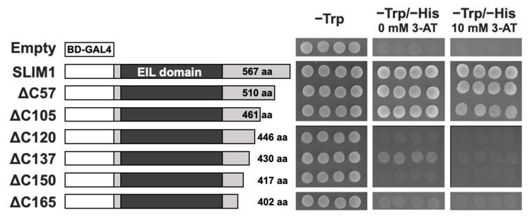 https://cdn.ncbi.nlm.nih.gov/pmc/blobs/ac85/9573389/fde7ece0df25/plants-11-02595-g002.jpg