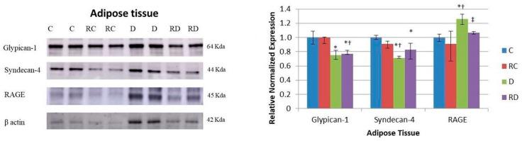 https://cdn.ncbi.nlm.nih.gov/pmc/blobs/ac87/11855909/91ddd07e3282/ijms-26-01672-g006.jpg
