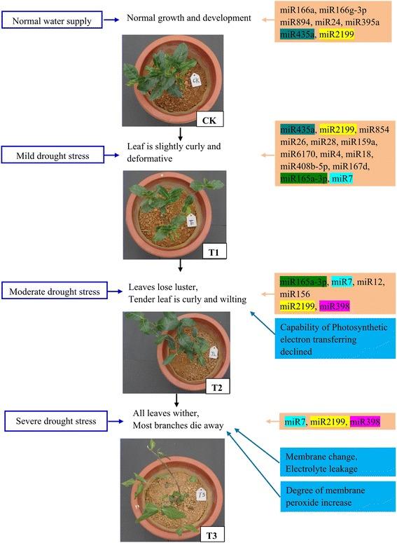 https://cdn.ncbi.nlm.nih.gov/pmc/blobs/ac87/5696764/58d52db8cdc4/12870_2017_1172_Fig10_HTML.jpg