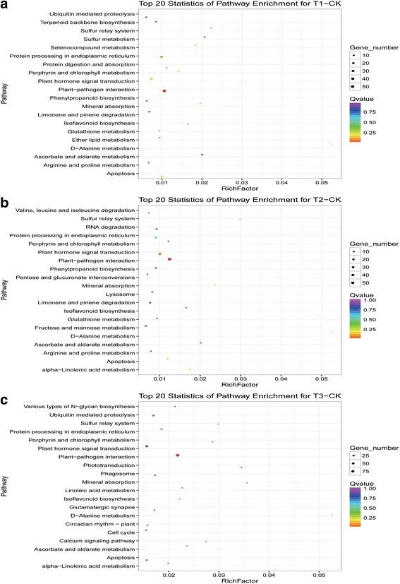 https://cdn.ncbi.nlm.nih.gov/pmc/blobs/ac87/5696764/705d21e11396/12870_2017_1172_Fig7_HTML.jpg
