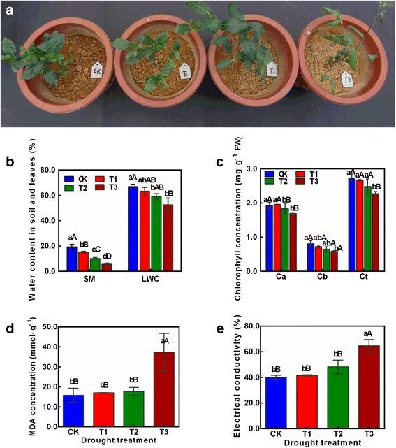 https://cdn.ncbi.nlm.nih.gov/pmc/blobs/ac87/5696764/98fa8638c2ba/12870_2017_1172_Fig1_HTML.jpg