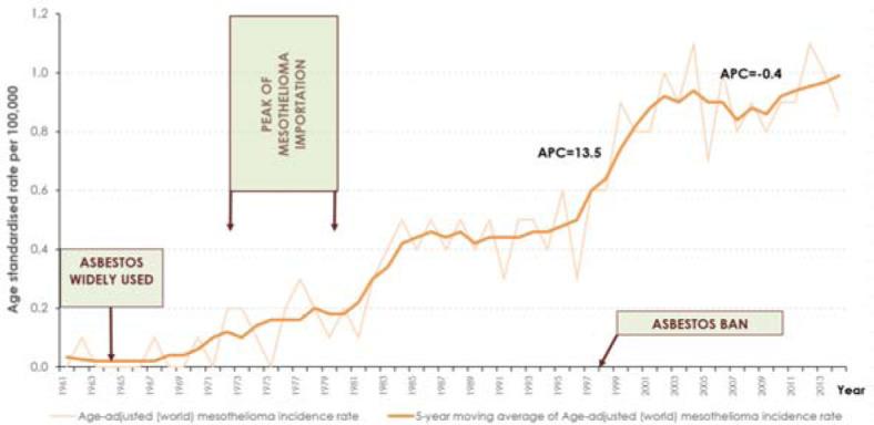 https://cdn.ncbi.nlm.nih.gov/pmc/blobs/ac88/5330174/1eeea8db4b72/j_raon-2017-0008_fig_006.jpg