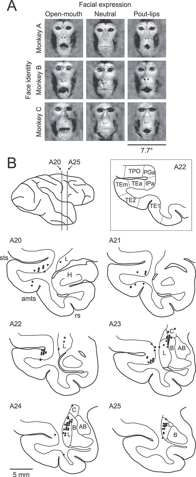 https://cdn.ncbi.nlm.nih.gov/pmc/blobs/ac8a/9890477/58802ecde9c6/bhac109f1.jpg