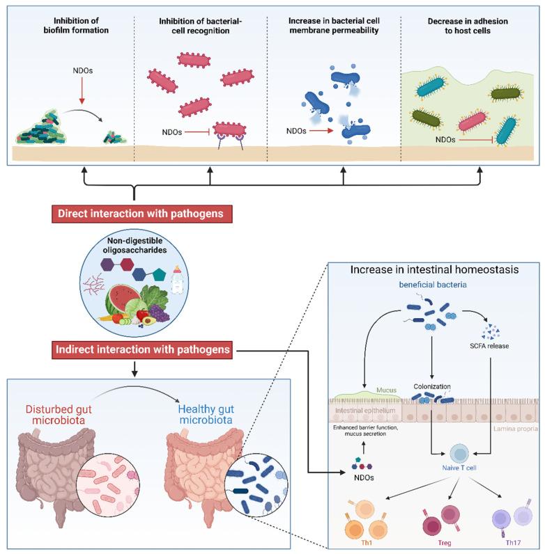 https://cdn.ncbi.nlm.nih.gov/pmc/blobs/ac8c/11945282/1250731a5ae2/nutrients-17-01068-g002.jpg