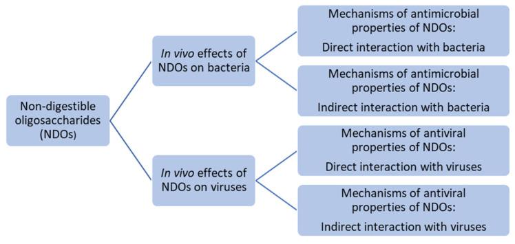 https://cdn.ncbi.nlm.nih.gov/pmc/blobs/ac8c/11945282/12e484ca6dc3/nutrients-17-01068-g001.jpg