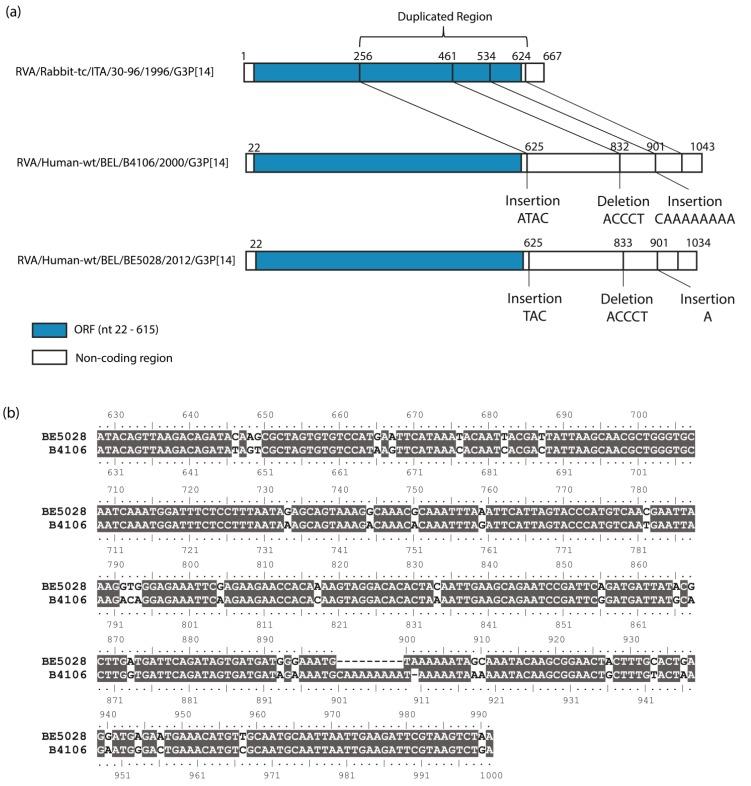 https://cdn.ncbi.nlm.nih.gov/pmc/blobs/ac8d/4353919/1ec464e3ad79/viruses-07-00844-g002.jpg