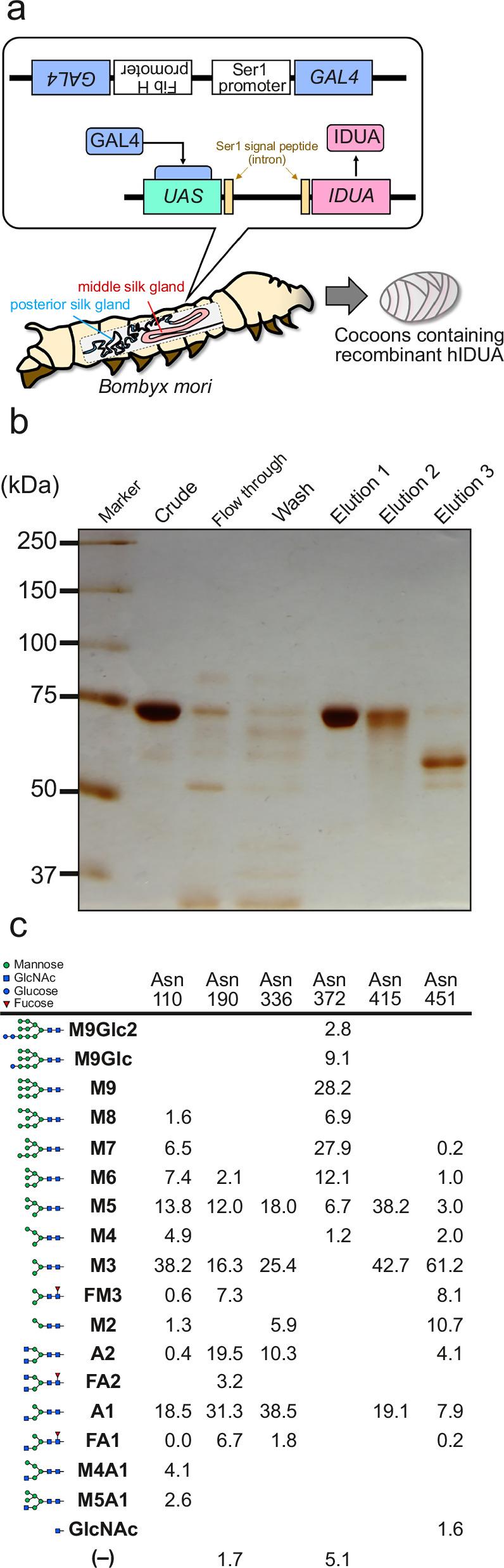 https://cdn.ncbi.nlm.nih.gov/pmc/blobs/ac90/12008302/879d7ca24e64/43856_2025_841_Fig1_HTML.jpg