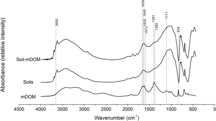 https://cdn.ncbi.nlm.nih.gov/pmc/blobs/ac90/8473328/e7b6787557a5/10653_2021_904_Fig2_HTML.jpg