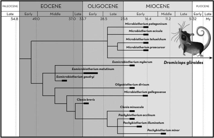 https://cdn.ncbi.nlm.nih.gov/pmc/blobs/ac90/8888251/7f1edb888b99/ECE3-12-e8645-g006.jpg
