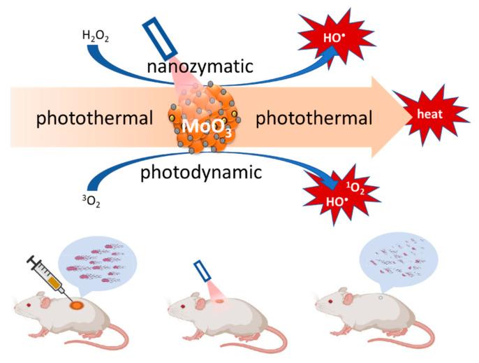 https://cdn.ncbi.nlm.nih.gov/pmc/blobs/ac90/8953781/aa6d98bfaeb2/ijms-23-03209-g002.jpg