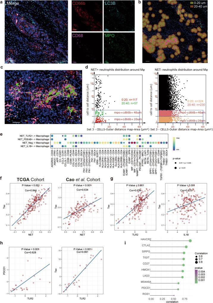 https://cdn.ncbi.nlm.nih.gov/pmc/blobs/ac91/11106236/5d51a31d3fc9/41698_2024_586_Fig3_HTML.jpg