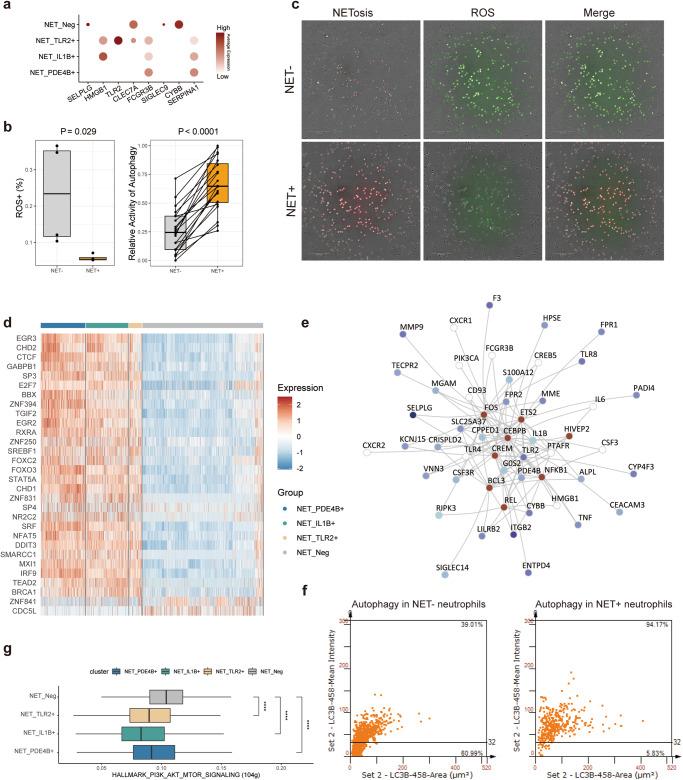 https://cdn.ncbi.nlm.nih.gov/pmc/blobs/ac91/11106236/db31893555ad/41698_2024_586_Fig2_HTML.jpg