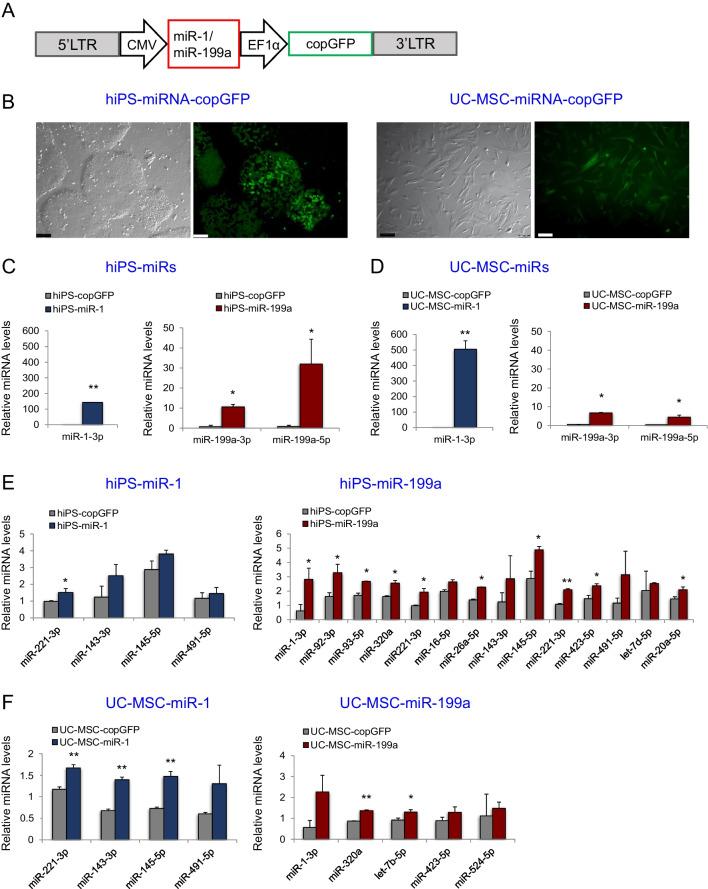https://cdn.ncbi.nlm.nih.gov/pmc/blobs/ac94/10661813/08fc9c190025/12015_2023_10621_Fig1_HTML.jpg