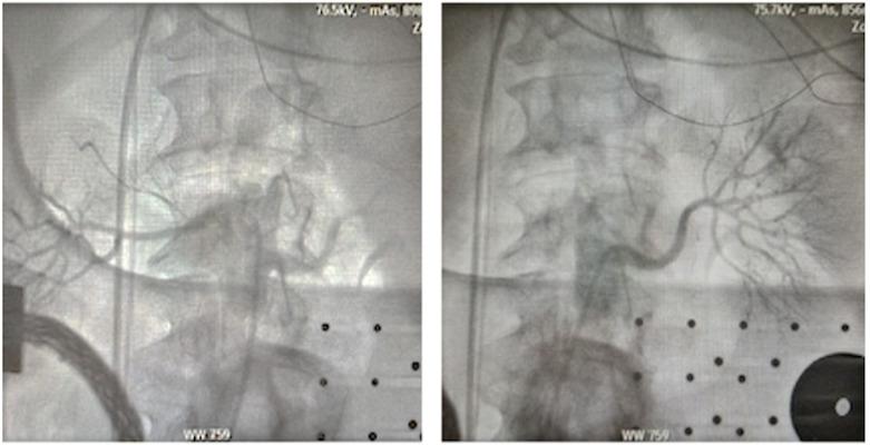 https://cdn.ncbi.nlm.nih.gov/pmc/blobs/ac95/11264041/bb11c9cbdc40/2153-8174-25-4-122-g2.jpg