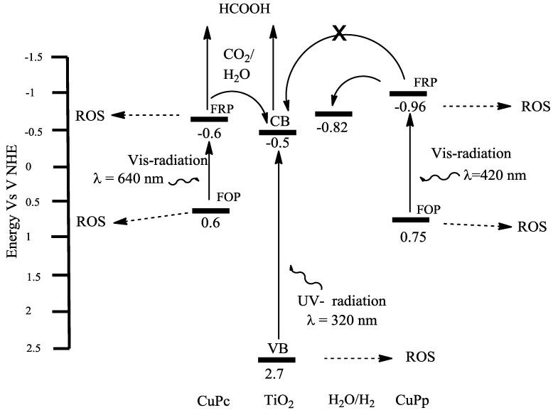 https://cdn.ncbi.nlm.nih.gov/pmc/blobs/ac95/6272483/234a576f5a13/molecules-20-00396-g005.jpg