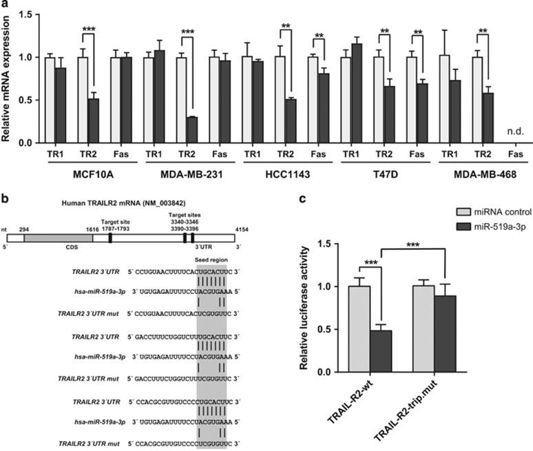 https://cdn.ncbi.nlm.nih.gov/pmc/blobs/ac96/5596553/9d70203dc306/cddis2017364f1.jpg