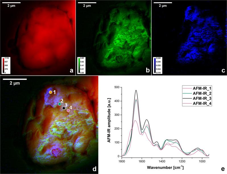 https://cdn.ncbi.nlm.nih.gov/pmc/blobs/ac96/9814045/698ac77204fa/42004_2021_567_Fig5_HTML.jpg