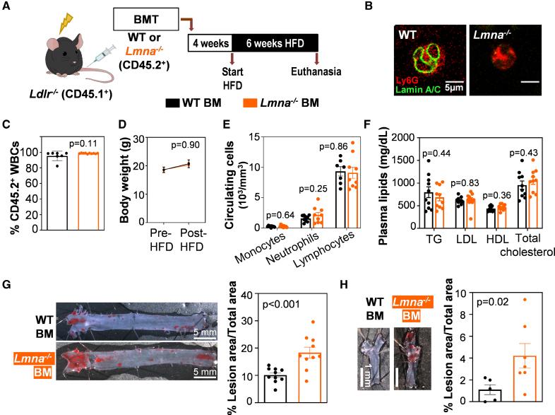 https://cdn.ncbi.nlm.nih.gov/pmc/blobs/ac97/12379799/10f057e0e81c/atv-45-1616-g002.jpg