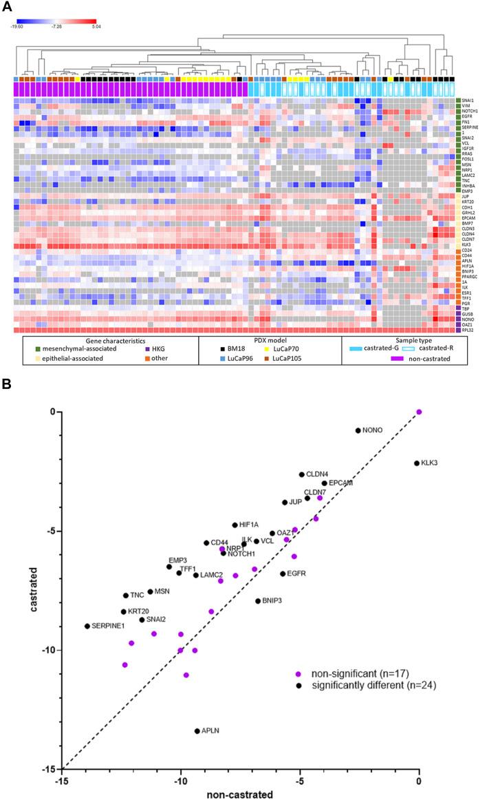 https://cdn.ncbi.nlm.nih.gov/pmc/blobs/ac97/9043137/b56e81638a8a/fcell-10-858013-g008.jpg
