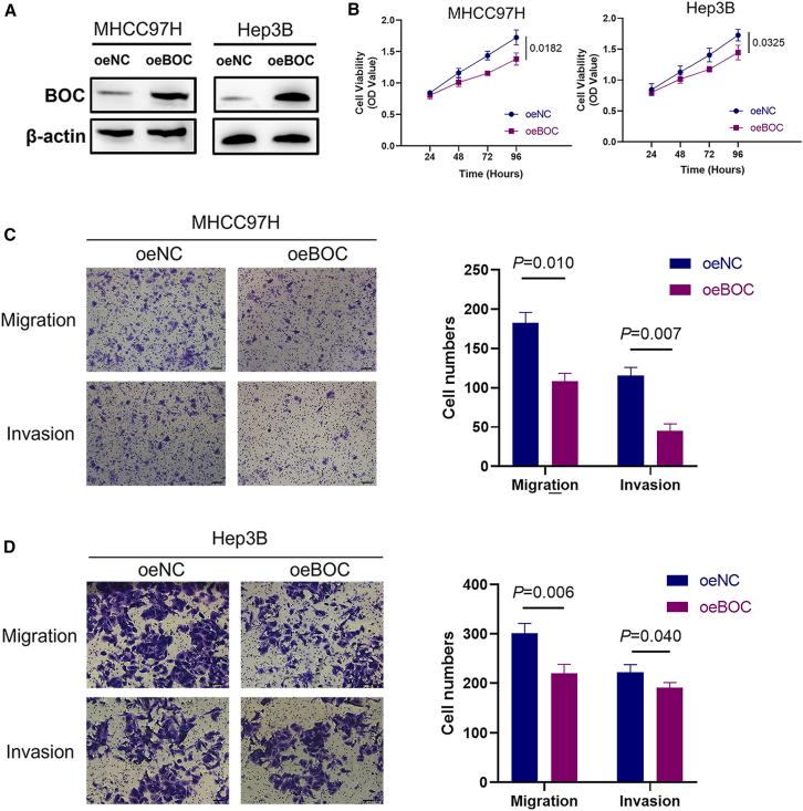 https://cdn.ncbi.nlm.nih.gov/pmc/blobs/ac9f/11532917/19806590b56f/gr8.jpg