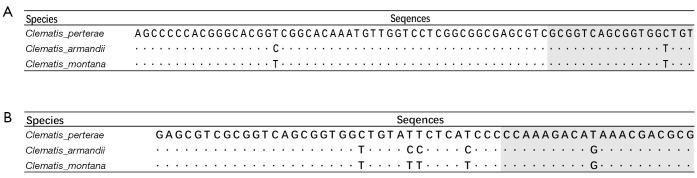 https://cdn.ncbi.nlm.nih.gov/pmc/blobs/ac9f/9279772/b57b0df60159/atm-10-12-706-f3.jpg