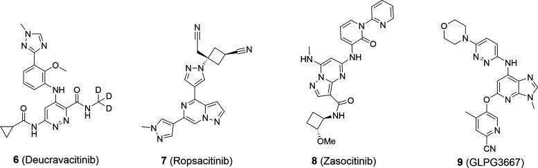 https://cdn.ncbi.nlm.nih.gov/pmc/blobs/aca0/11181332/31918fa62184/jm4c00769_0002.jpg
