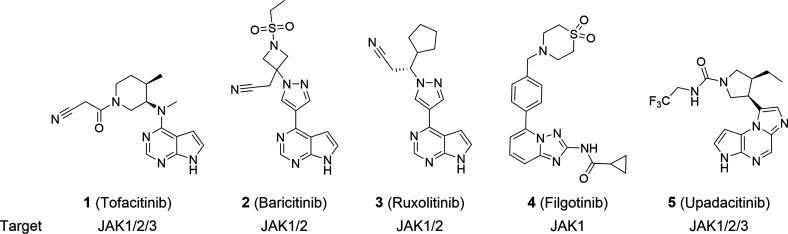 https://cdn.ncbi.nlm.nih.gov/pmc/blobs/aca0/11181332/de6a07435676/jm4c00769_0001.jpg