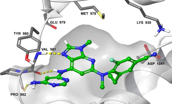 https://cdn.ncbi.nlm.nih.gov/pmc/blobs/aca0/11181332/e015667a62e5/jm4c00769_0005.jpg