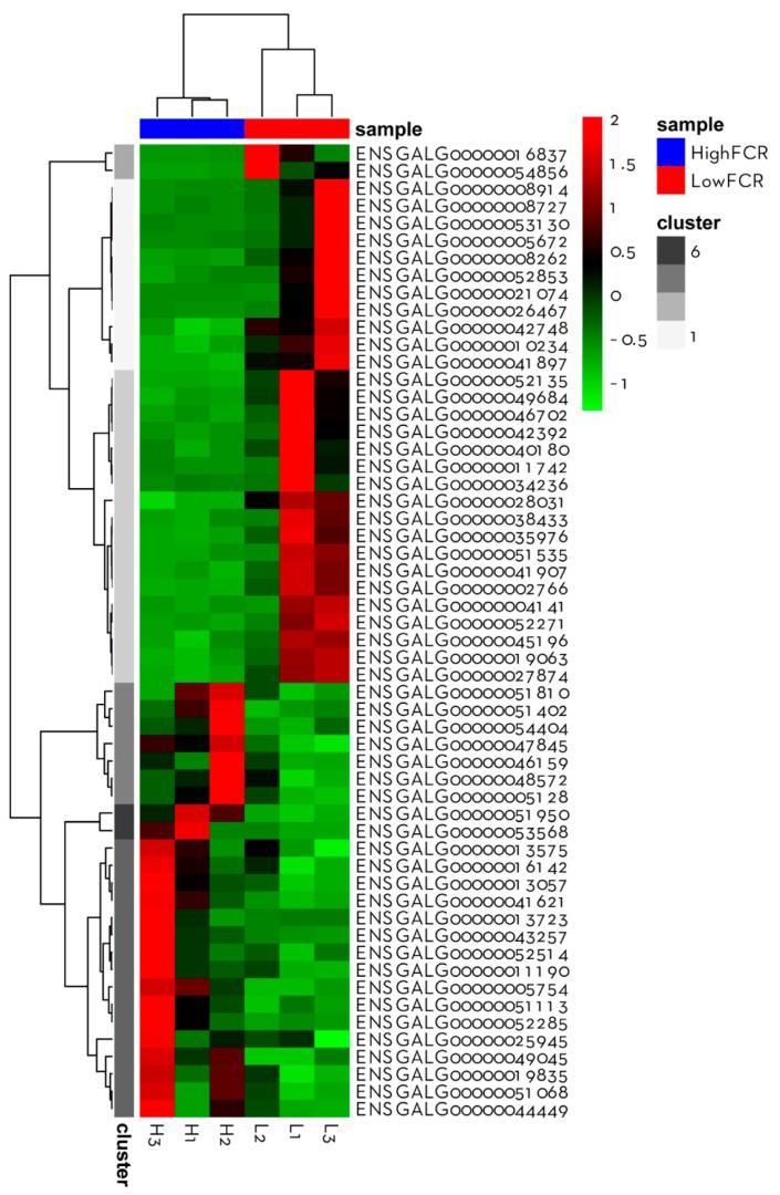 https://cdn.ncbi.nlm.nih.gov/pmc/blobs/aca0/8470203/db0dc6049f7a/animals-11-02606-g004.jpg