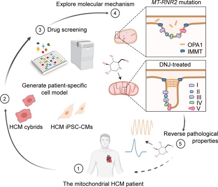 https://cdn.ncbi.nlm.nih.gov/pmc/blobs/aca1/10348775/503f03ae1937/jci-133-164660-g038.jpg