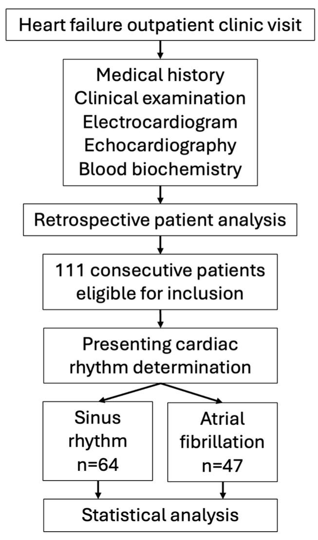 https://cdn.ncbi.nlm.nih.gov/pmc/blobs/aca1/11356261/4db19e57efa5/medicina-60-01238-g001.jpg