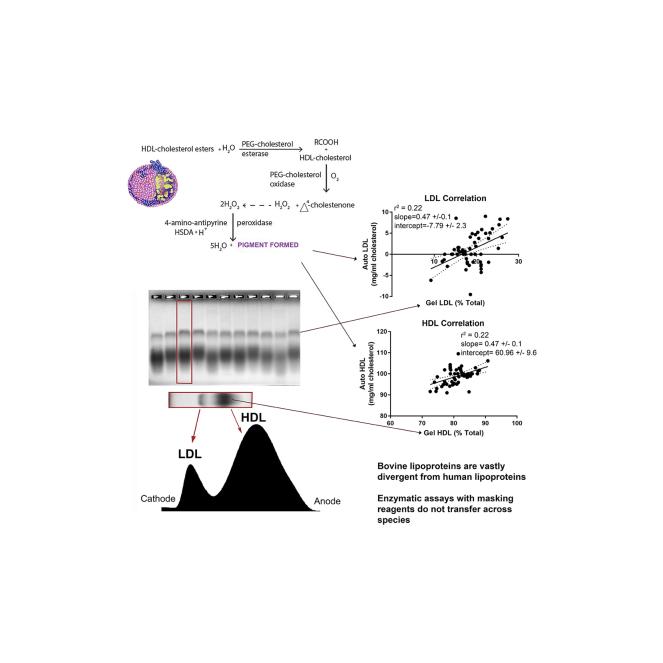 https://cdn.ncbi.nlm.nih.gov/pmc/blobs/aca2/9623755/995b541458fe/fx1.jpg